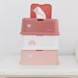 Funkybox – Pink Rainbow